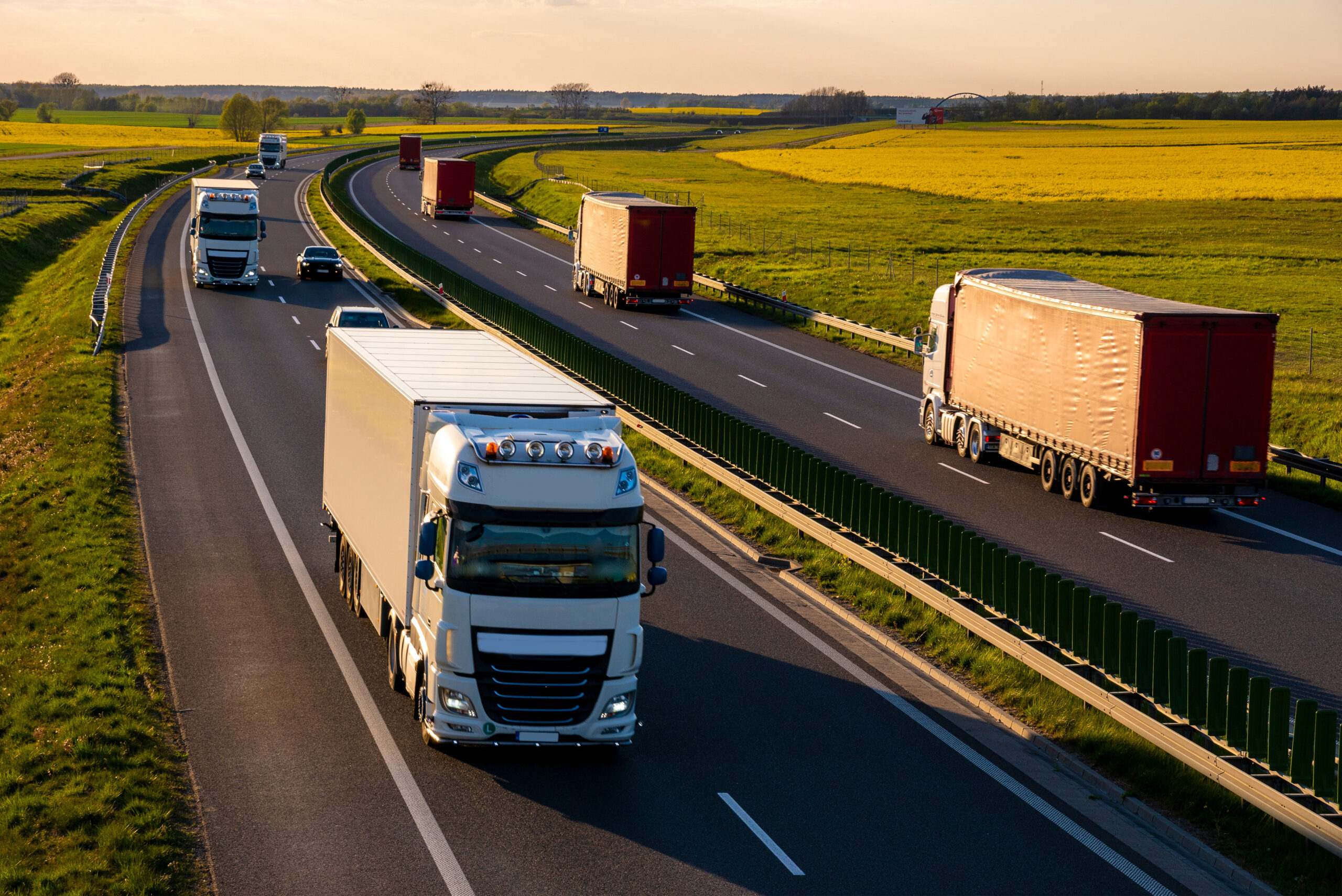 Case study: creating an bespoke solution to help a client manage their UK Renewable Transport Fuel Certificates