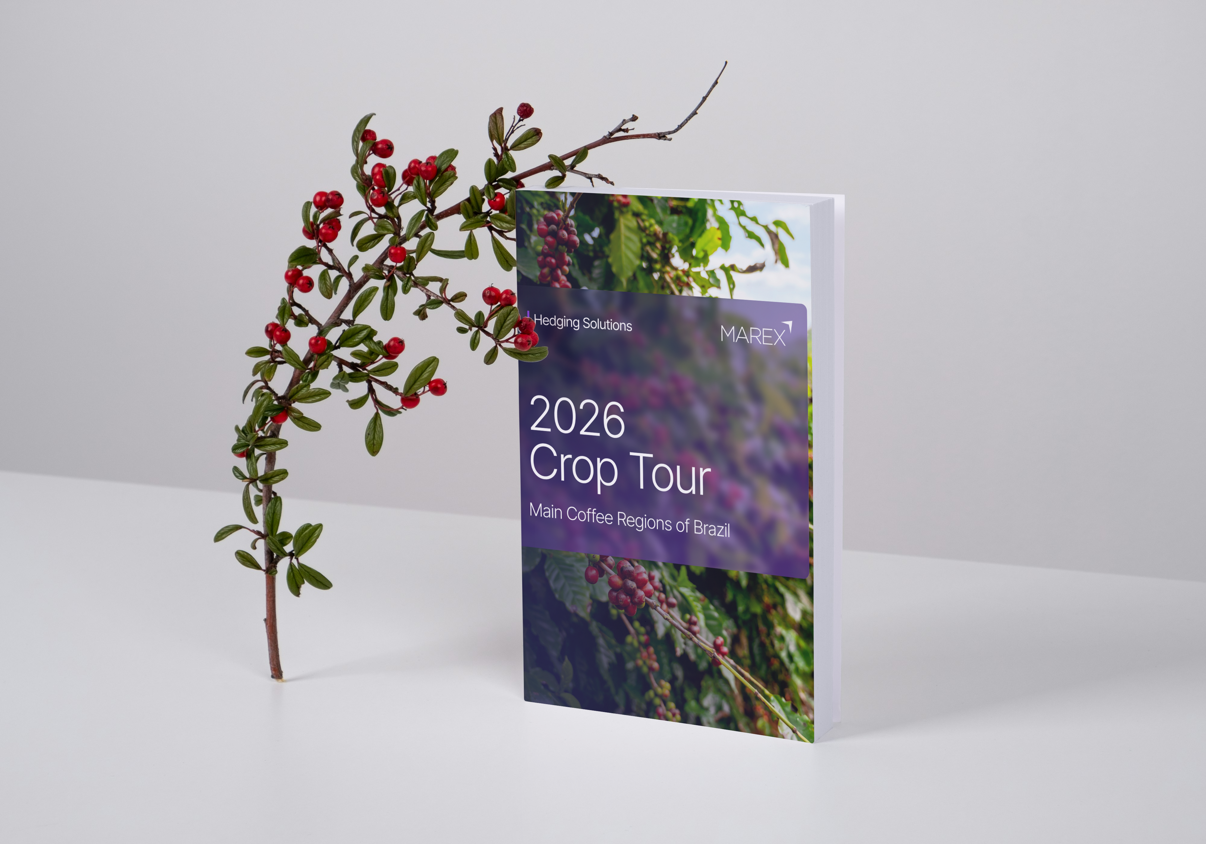 2026 Crop Tour: Main Coffee Regions of Brazil